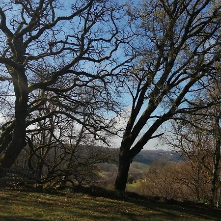 Gite Le Pigonnier Ecogite Le Luquet Saint Beauzeil 82150 Exterior foto